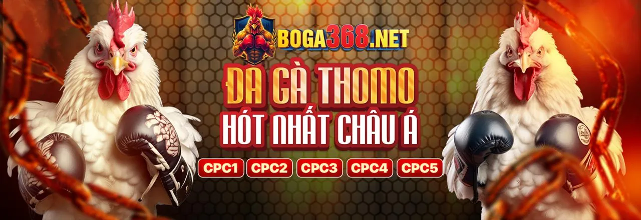 Đá Gà Trực Tuyến vuabet88 code