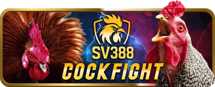 Minh họa cho phần câu hỏi thường gặp về tin tức vuabet88 code